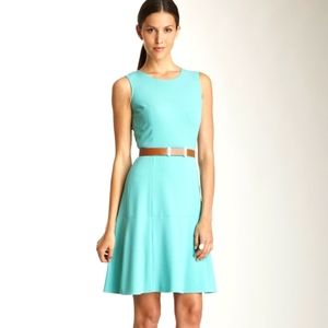 Calvin Klein Fit and Flare Dress